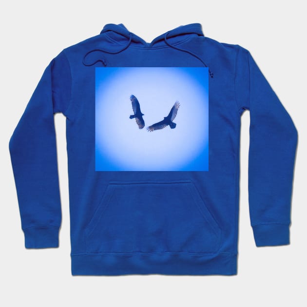 Soaring Hawks Hoodie by PandLCreations